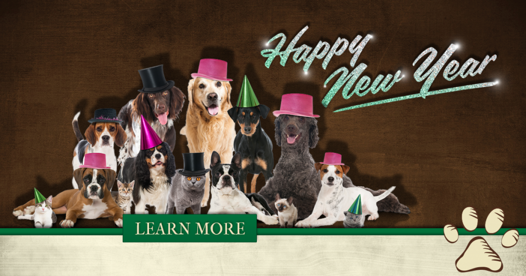 Cats and dogs in new years decorations