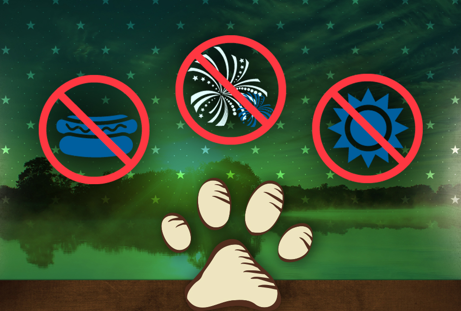 4th of july pet safety