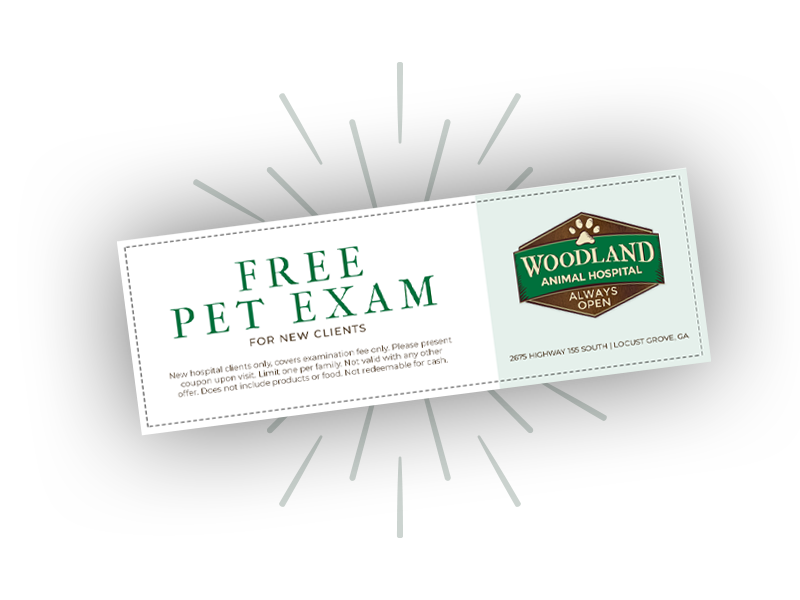 Free Pet exam coupon
