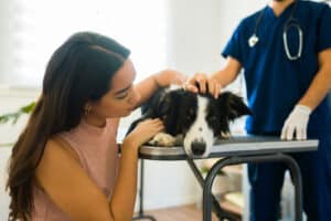 pet-owner-with-sick-dog-at-clinic
